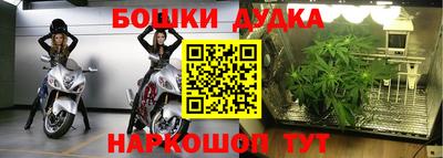 Альфа ПВП Аргун