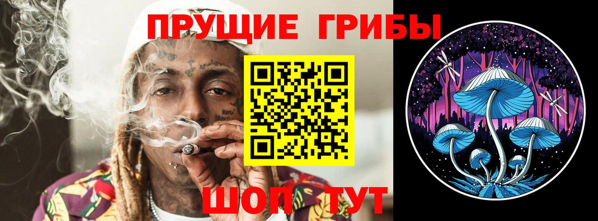 Псилоцибиновые грибы мицелий Баксан