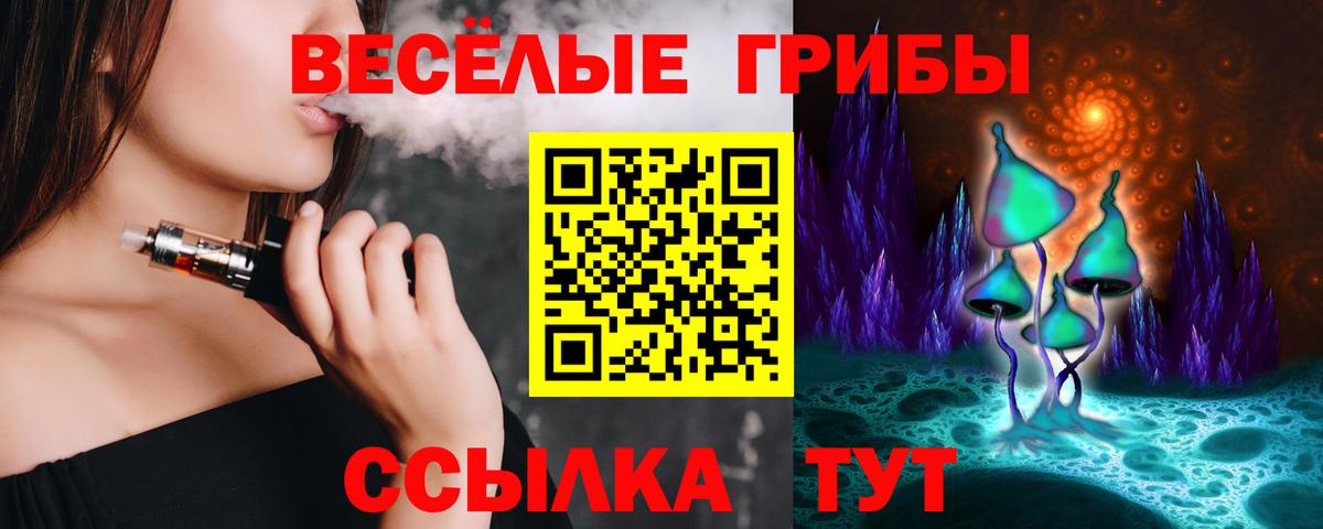 Псилоцибиновые грибы MAGIC MUSHROOMS  Вход с VPN  Баксан 